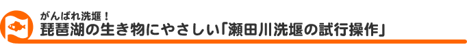  ΂􉁁Ii΂̐ɂ₳uc􉁂̎sv