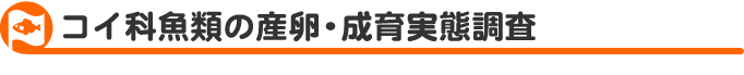RCȋގYE琬Ԓ