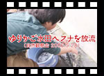 肩cփti