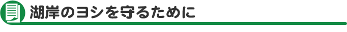 Ί݂̃V邽߂