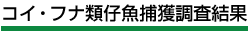 RCEtiގeߊl