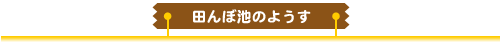cڒr̂悤